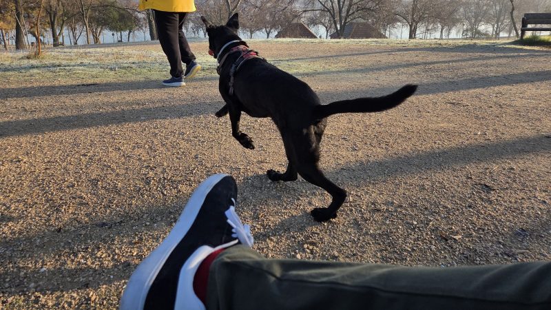 2025: luz en la oscuridad