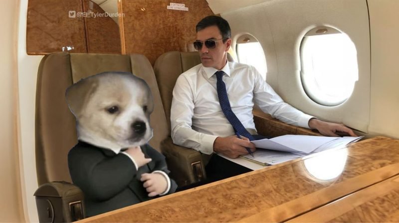 De insulto a símbolo: mi estudio sobre el meme «Perro Sanxe»